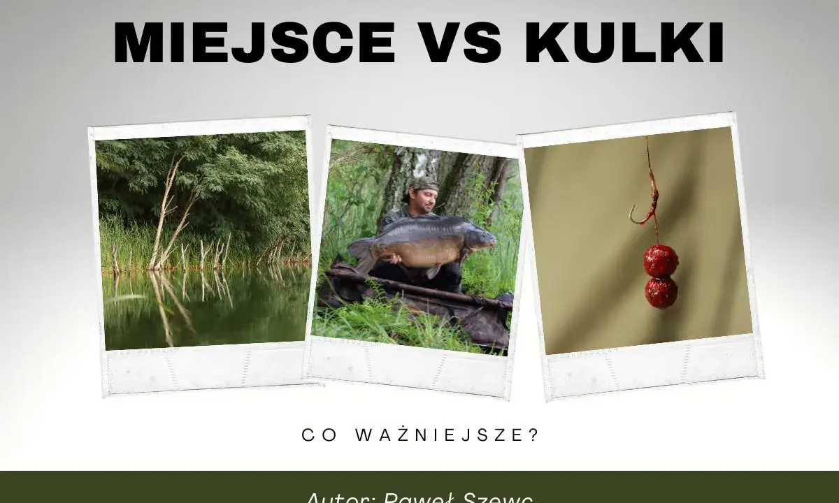 Trzy zdjęcia: jezioro, wędkarz z karpiem i kulki proteinowe na haczyku. Klucz do tego, jak złowić karpia.