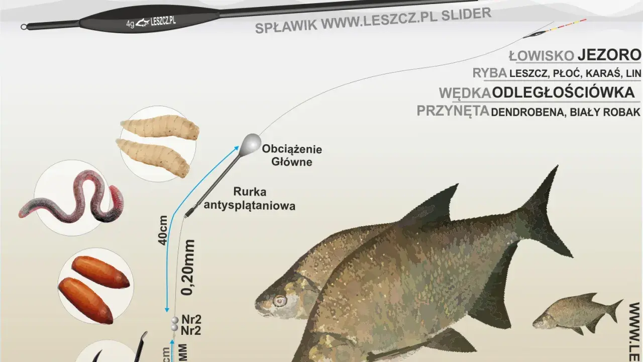 Jak złowić leszcza z gruntu: spławik, żyłka 0,20mm, haczyk z dendrobeną lub białym robakiem. Na jeziorze z odległościówką.