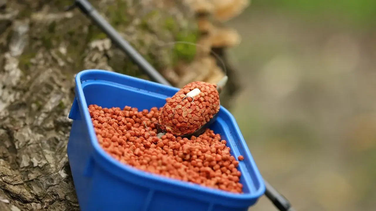 Niebieskie pudełko z zanętą, w której znajduje się pellet ochotka. Na pierwszym planie widać haczyk z przynętą.