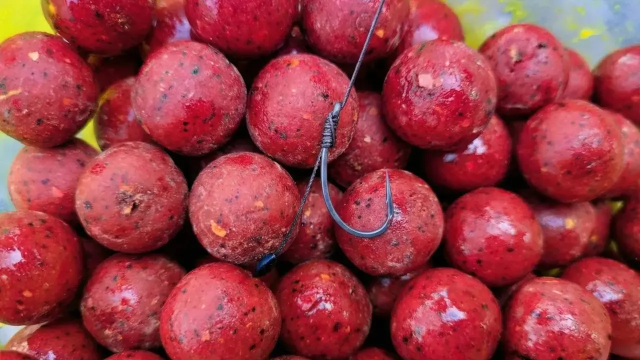 Czerwone kulki proteinowe, idealne na karpia, błyszczą w słońcu. Haczyk czeka na branie.
