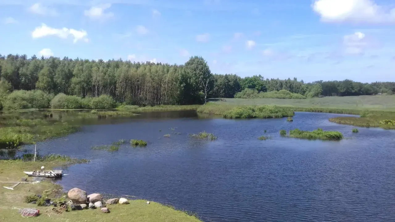 Spokojne łowisko Stojkowo z łódką przy brzegu, otoczone zielenią i lasem pod błękitnym niebem.