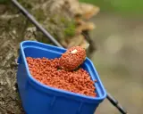 Niebieskie pudełko z zanętą, w której znajduje się pellet ochotka. Na pierwszym planie widać haczyk z przynętą.