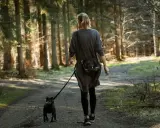Kobieta spaceruje z psem po leśnej ścieżce. Słońce przebija się przez drzewa, tworząc magiczną atmosferę. To idealne łowisko szpruch dla miłośników natury.