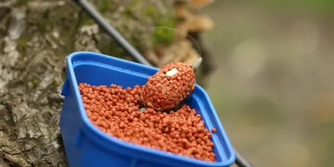 Niebieskie pudełko z zanętą, w której znajduje się pellet ochotka. Na pierwszym planie widać haczyk z przynętą.