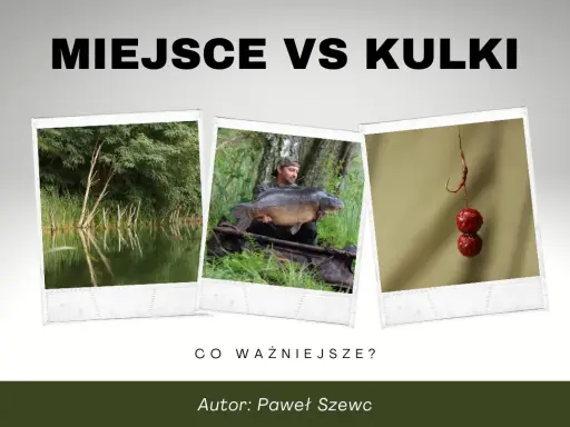 Trzy zdjęcia: jezioro, wędkarz z karpiem i kulki proteinowe na haczyku. Klucz do tego, jak złowić karpia.