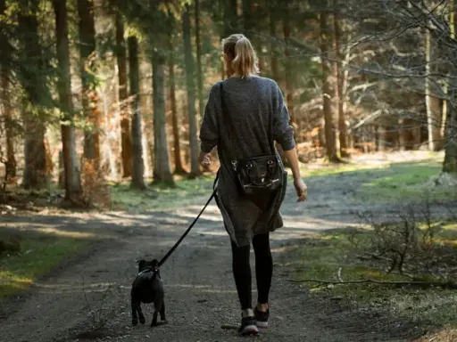 Kobieta spaceruje z psem po leśnej ścieżce. Słońce przebija się przez drzewa, tworząc magiczną atmosferę. To idealne łowisko szpruch dla miłośników natury.