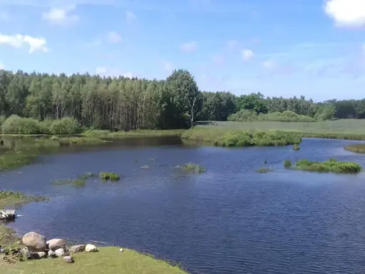 Spokojne łowisko Stojkowo z łódką przy brzegu, otoczone zielenią i lasem pod błękitnym niebem.