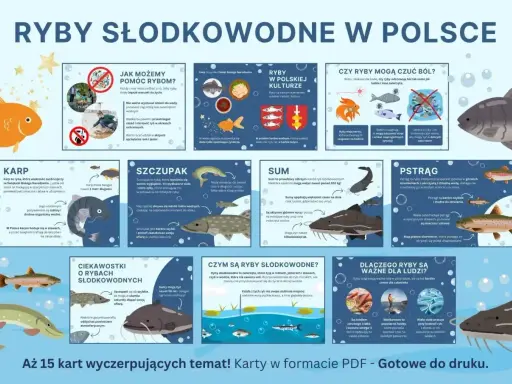 Szczupak to drapieżnik, który poluje na mniejsze ryby. Jego dieta obejmuje m.in. płocie, okonie i ukleje.