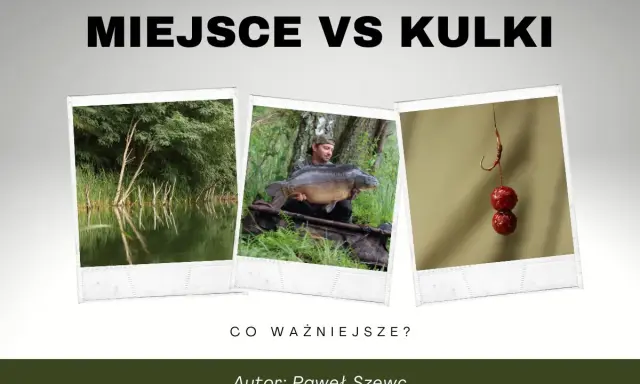 Trzy zdjęcia: jezioro, wędkarz z karpiem i kulki proteinowe na haczyku. Klucz do tego, jak złowić karpia.