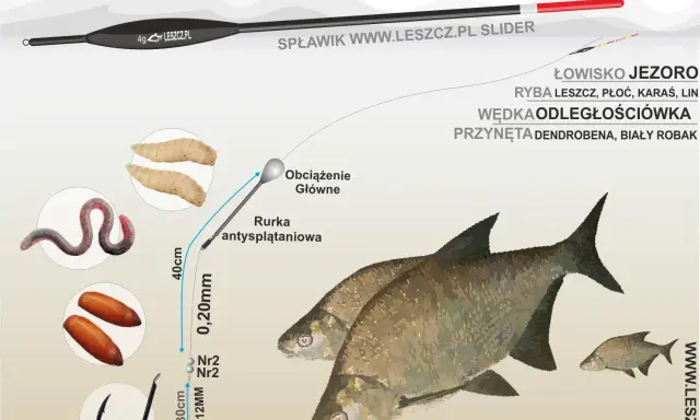 Jak złowić leszcza z gruntu: spławik, żyłka 0,20mm, haczyk z dendrobeną lub białym robakiem. Na jeziorze z odległościówką.