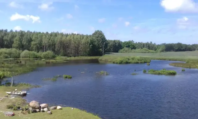 Spokojne łowisko Stojkowo z łódką przy brzegu, otoczone zielenią i lasem pod błękitnym niebem.