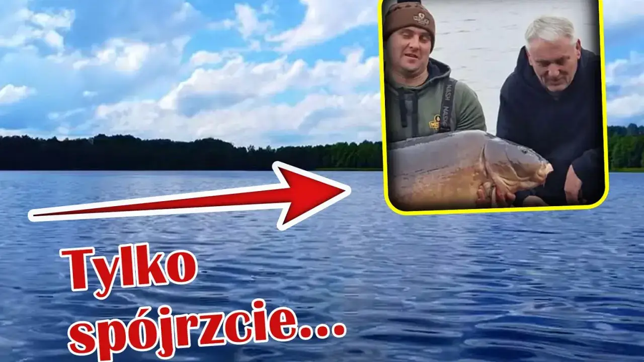 Dwóch wędkarzy trzyma ogromnego karpia. Zastanawiasz się, co jedzą karpie, że rosną tak duże?