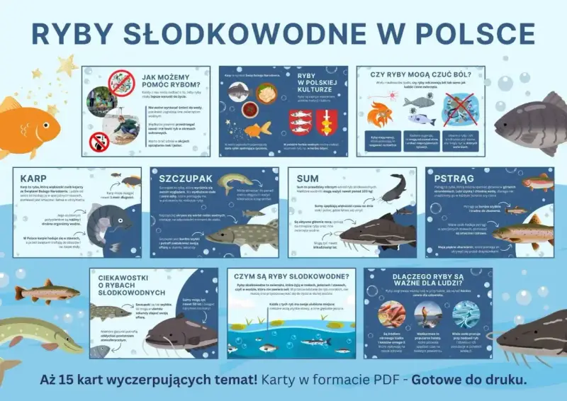 Ryby drapieżne w Polsce: szczupak, sum i pstrąg. Poznaj ich cechy i ciekawostki.